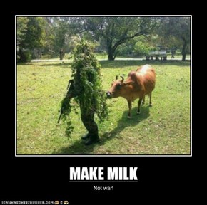 MAKE MILK