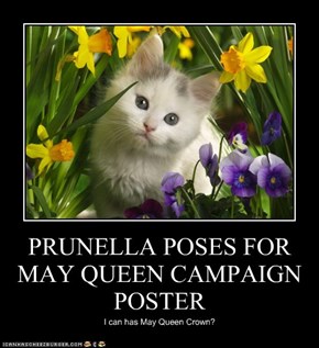 PRUNELLA POSES FOR MAY QUEEN CAMPAIGN POSTER