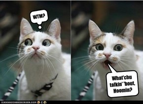 What the meow?