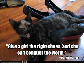 "Give a girl the right shoes, and she can conquer the world."