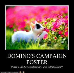 DOMINO'S CAMPAIGN POSTER