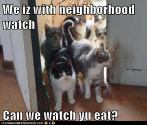 We iz with neighborhood watch  Can we watch yu eat?
