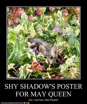 SHY SHADOW'S POSTER FOR MAY QUEEN