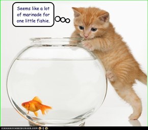 Seems like a lot of marinade for one little fishie.