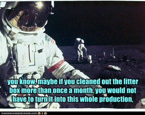 you know, maybe if you cleaned out the litter box more than once a month, you would not have to turn it into this whole production,