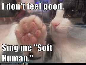I don't feel good.  Sing me "Soft Human."
