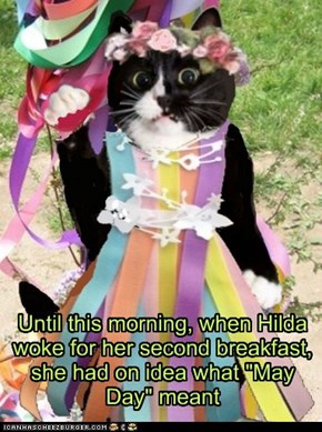 Until this morning, when Hilda woke for her second breakfast, she had on idea what "May Day" meant