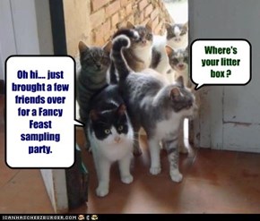Oh hi.... just brought a few friends over for a Fancy Feast sampling party.