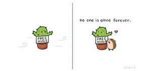Find Your Cactus