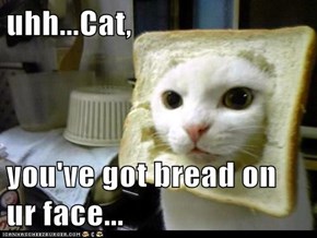 uhh...Cat,   you've got bread on ur face...
