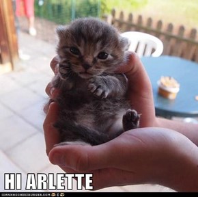 HI ARLETTE