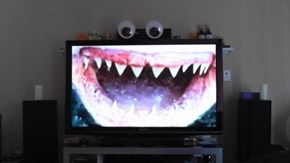 Googly Eyes Take the Teeth Out of Everything