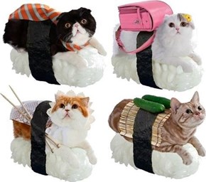Sushi Cats