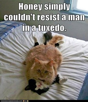 Honey simply couldn't resist a man in a tuxedo.