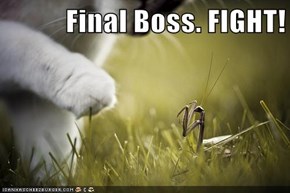 Final Boss. FIGHT!