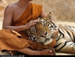 A monk and his tiger