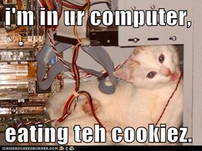 i'm in ur computer,  eating teh cookiez.