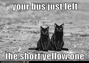 your bus just left  the short yellow one
