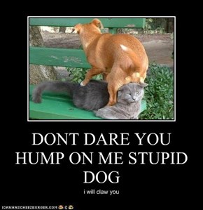DONT DARE YOU HUMP ON ME STUPID DOG