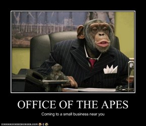 OFFICE OF THE APES