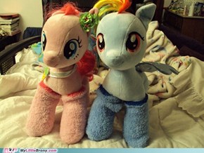Ponies in Socks