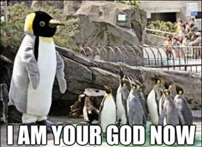 Penguin King
