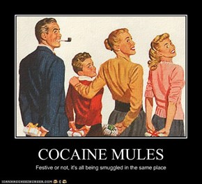 COCAINE MULES Festive or not, it's all being smuggled in the same place