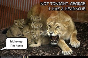 Bad Day at the Zoo