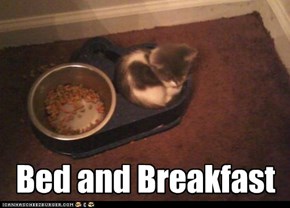 Bed and Breakfast