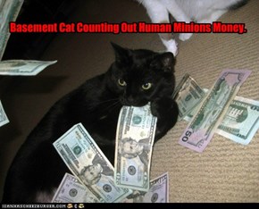 Basement Cat Counting Out Human Minions Money.