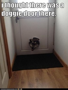 i thought there was a doggie door there.