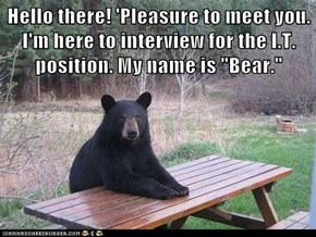 Hello there! 'Pleasure to meet you. I'm here to interview for the I.T. position. My name is "Bear."