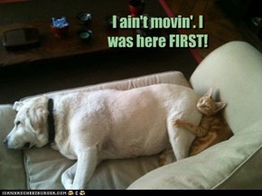I ain't movin'. I was here FIRST!