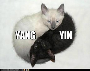 yin and yang