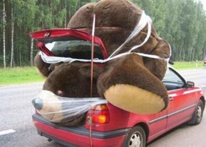 That's a Big Teddy