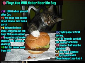 A Kitteh Top Ten