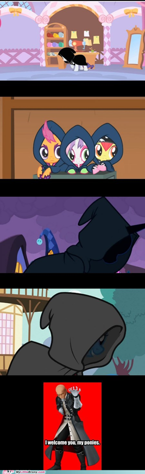 Organization XIII's New Members