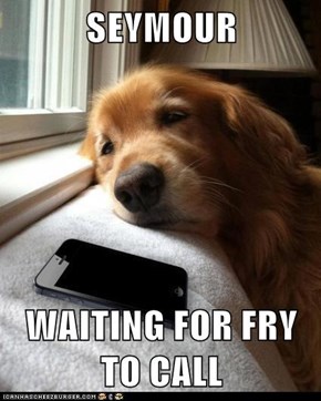 SEYMOUR  WAITING FOR FRY TO CALL