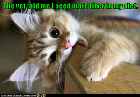 The vet told me I need more fiber in my diet.