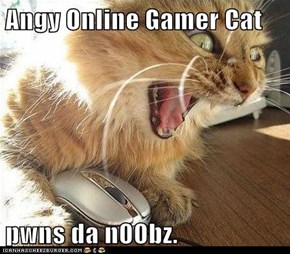 Angy Online Gamer Cat  pwns da n00bz.