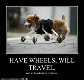 HAVE WHEELS, WILL TRAVEL.