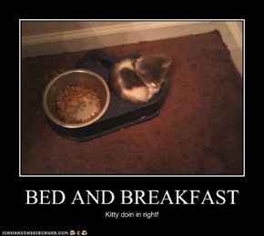 BED AND BREAKFAST