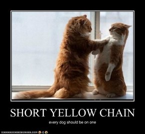 SHORT YELLOW CHAIN