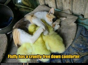 Fluffy Has a Cruelty-Free Down Comforter