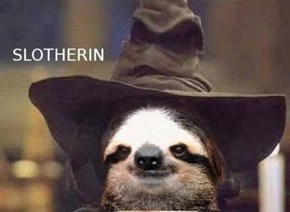 The Evilest Sloth