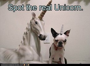 Spot the real Unicorn.