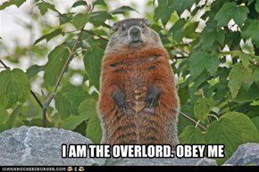 I AM THE OVERLORD. OBEY ME