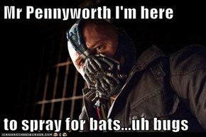 Mr Pennyworth I'm here  to spray for bats...uh bugs
