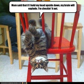 Mom said that if I hold my head upside down, my brain will explode. I'm checkin' it out.