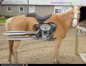Motor Horse 
